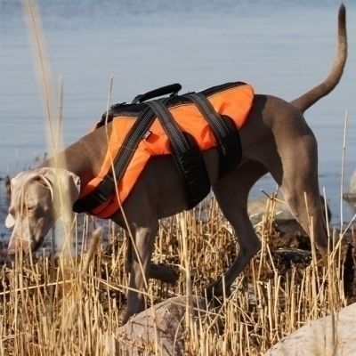 Rukka Safety Flytväst för Hund Orange